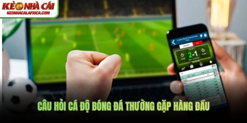 Câu hỏi cá độ bóng đá thường gặp hàng đầu