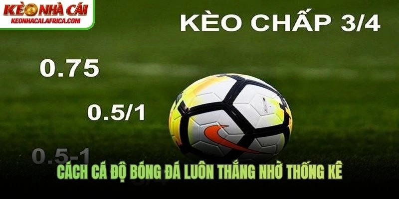 Cách cá độ bóng đá luôn thắng nhờ thống kê