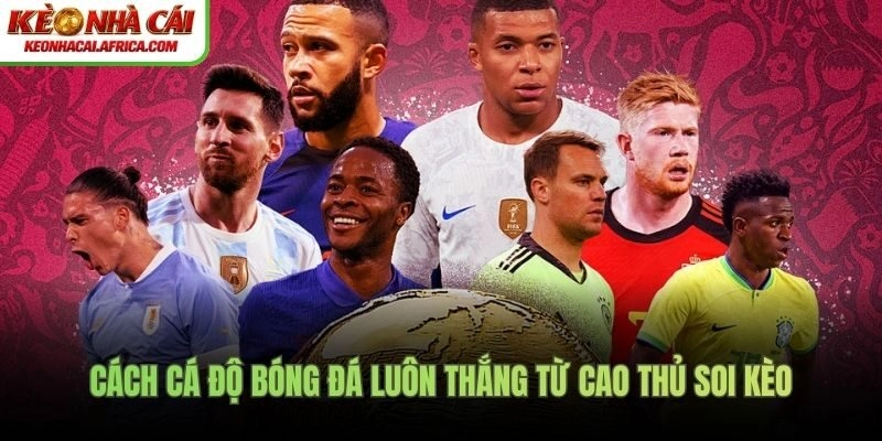 cách cá độ bóng đá luôn thắng