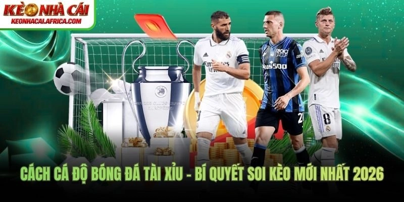 cách cá độ bóng đá tài xỉu