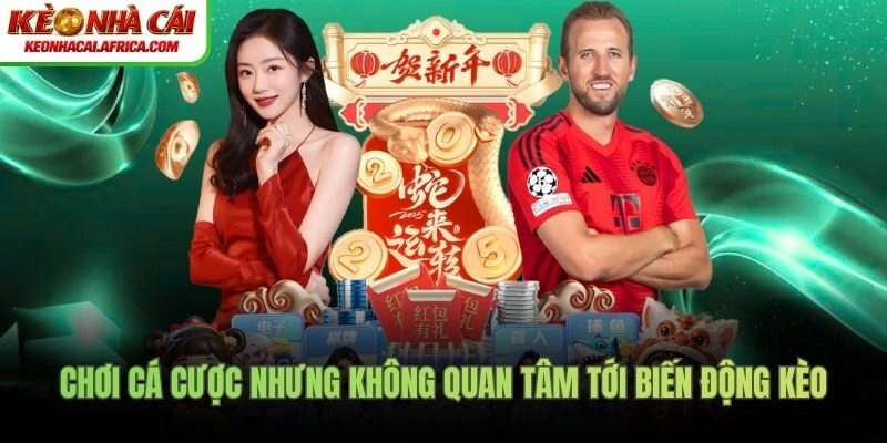 Chơi cá cược nhưng không quan tâm tới biến động kèo