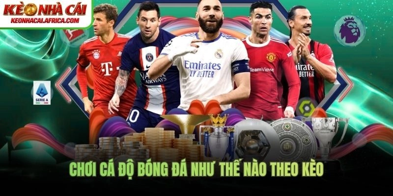 Chơi cá độ bóng đá như thế nào theo kèo