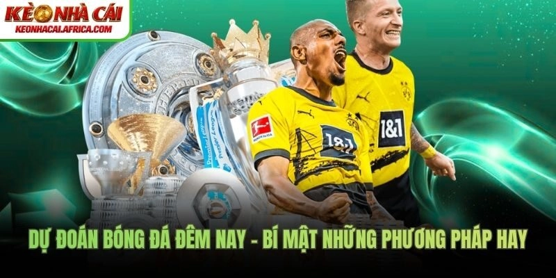 Dự đoán bóng đá đêm nay