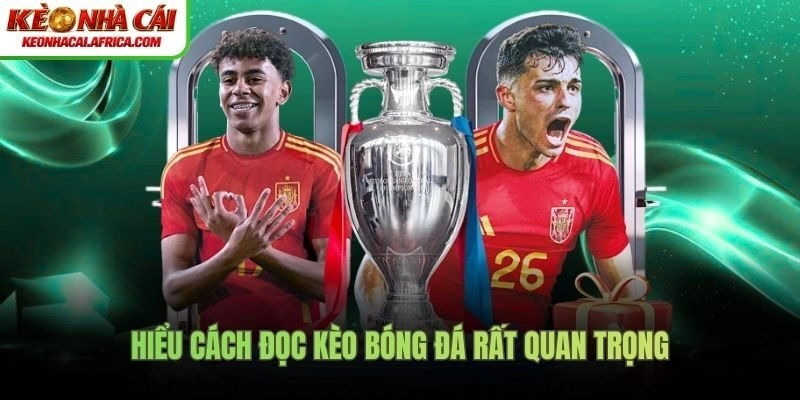 Hiểu cách đọc kèo bóng đá rất quan trọng