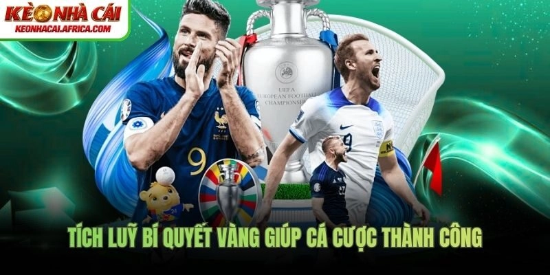 Tích luỹ bí quyết vàng giúp cá cược thành công