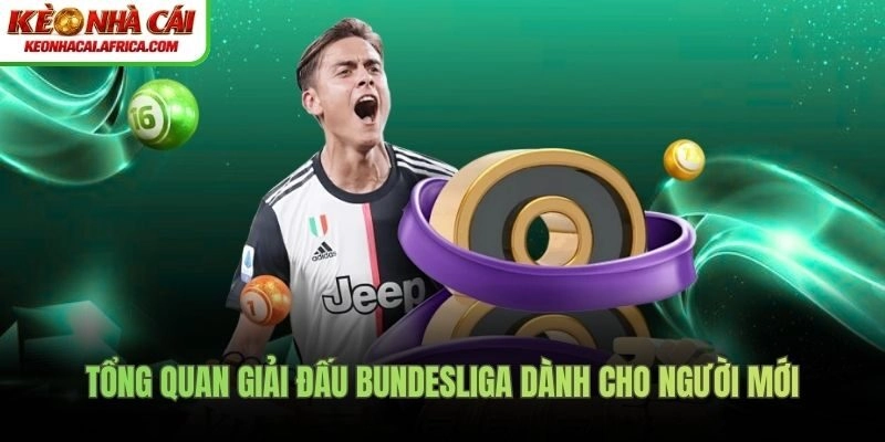 Tổng quan giải đấu Bundesliga dành cho người mới