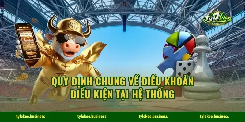 Quy định chung về điều khoản điều kiện tại hệ thống