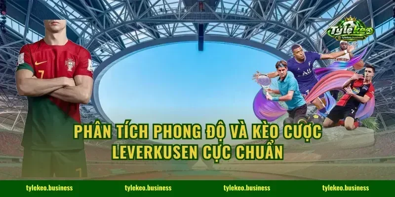 Phân Tích Phong Độ Và Kèo Cược Leverkusen Cực Chuẩn