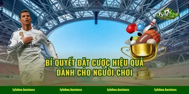 Bí quyết đặt cược hiệu quả dành cho người chơi