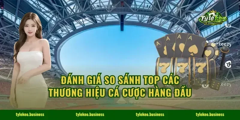 Đánh giá so sánh top các thương hiệu cá cược hàng đầu