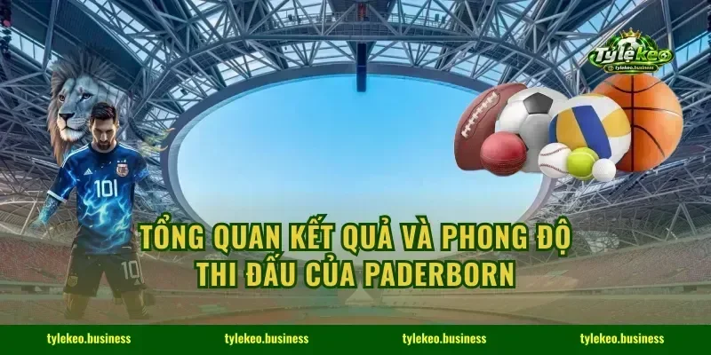 Tổng quan kết quả và phong độ thi đấu của Paderborn