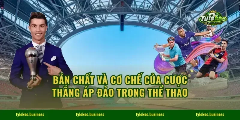 Bản chất và cơ chế của cược thắng áp đảo trong thể thao