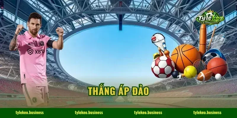 Thắng Áp Đảo: 24h Cập Nhật Bảng Odds Hot, Chốt Tốc